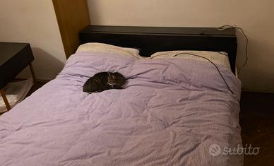 struttura letto ikea malm con comodini estraibili 