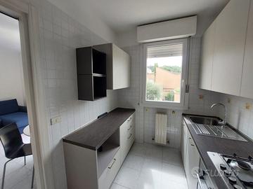 Sant'arcangelo annuale su due livelli