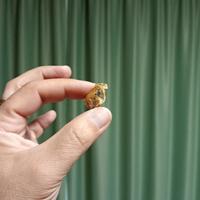 Pepite d"Oro Italiane