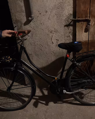 Bici da donna