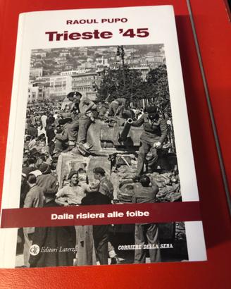 Libro  Trieste 45