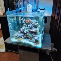 Acquario marino