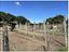 Immagine 25