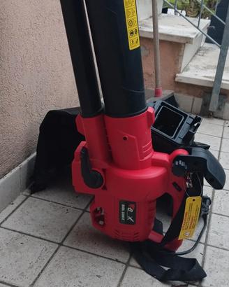 aspirafoglie e soffiatore