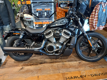 Vendi Harley Davidson Nightster 975