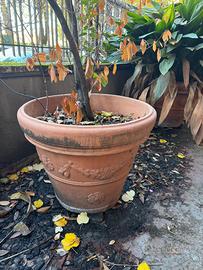 Vasi Grandi in Terracotta🪴