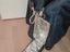 Immagine 4