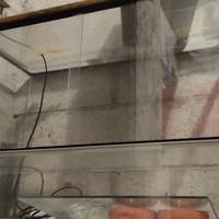 Teca per rettili CREAS