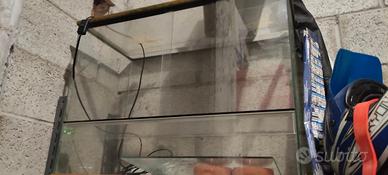 Teca per rettili CREAS