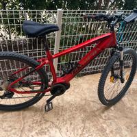 Bici Olympia Master 29 630