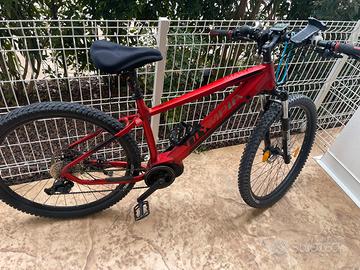 Bici Olympia Master 29 630