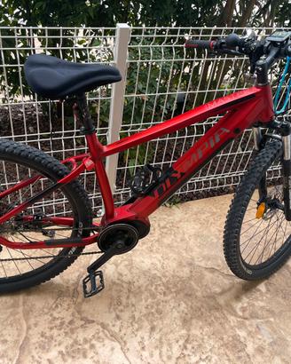 Bici Olympia Master 29 630