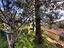 Immagine 23