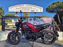 leoncino-500-benelli-unipro