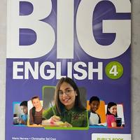 Big English  Pupil's and Activity Books 4/3/2