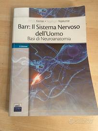 Barr: il sistema nervoso dell’uomo