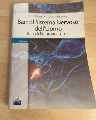 Barr: il sistema nervoso dell’uomo