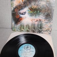 vinile Pink Floyd