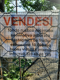 Area verde collinare