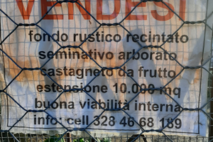 Area verde collinare