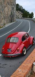 MAGGIOLINO 1969 DA COLLEZIONE 