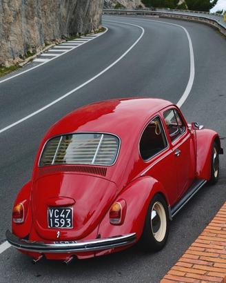 MAGGIOLINO 1969 DA COLLEZIONE 