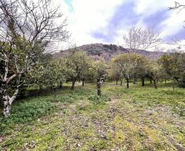 Terreno Agricolo Angri [cod. rif6010553VCG]