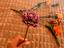 Immagine 6