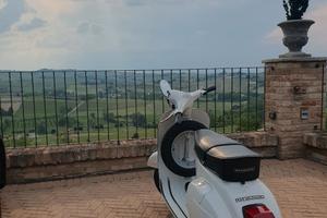 Vespa 125 Primavera Targa oro FMI