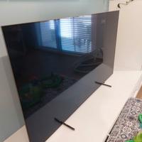 Televisore Philips 65 Pollici OLED Schermo rotto