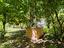 Immagine 26