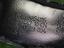 Immagine 14