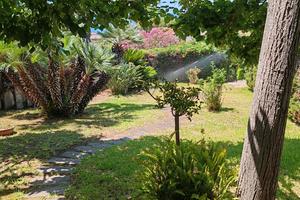 Villa con giardino e box auto
