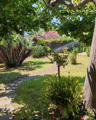 Villa con giardino e box auto