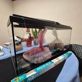 acquario 80 L