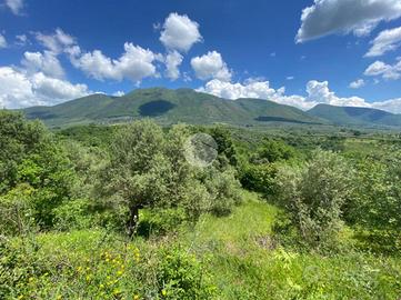 TER. AGRICOLO A PALOMBARA SABINA