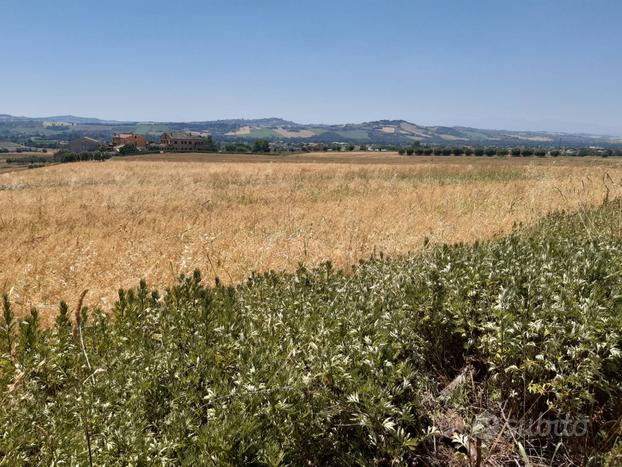 Terreno Agricolo - Civitanova Marche