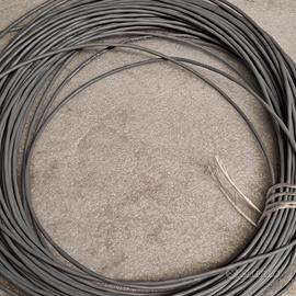 cavo Belden 2 x 0,3mm+ schermo,mt.50,ftp