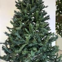 Albero di natale