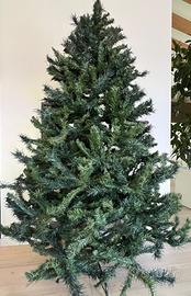 Albero di natale