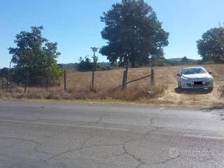 Terreno agricolo oriolo romano vt - Vista 3