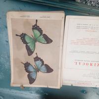 pubblicità medicinali   primi anni50