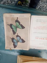 pubblicità medicinali   primi anni50