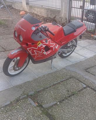 gilera mxr 125