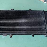 Radiatore Aprilia pegaso 650