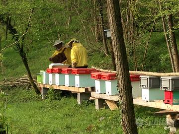 Terreno agricolo con casetta in ristrutturazione