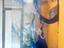 Immagine 3