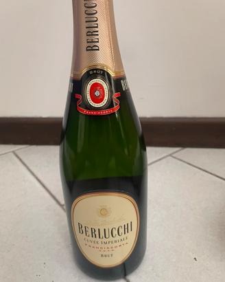 Champagne Berlucchi cuvee imperiale 2017