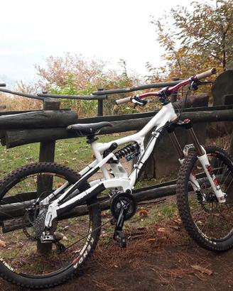 Cannondale Perp
