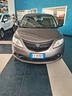 lancia-ypsilon-1-2-69-cv-5-porte-elefantino-blu